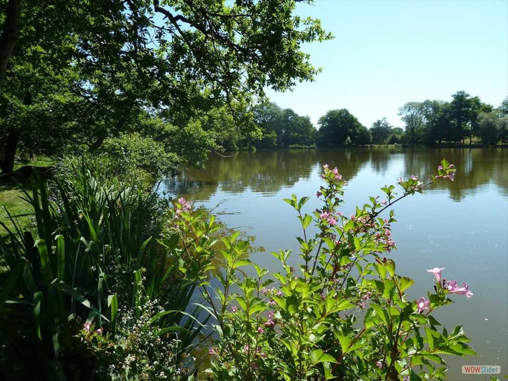 gite_etang_auvergne_photo3